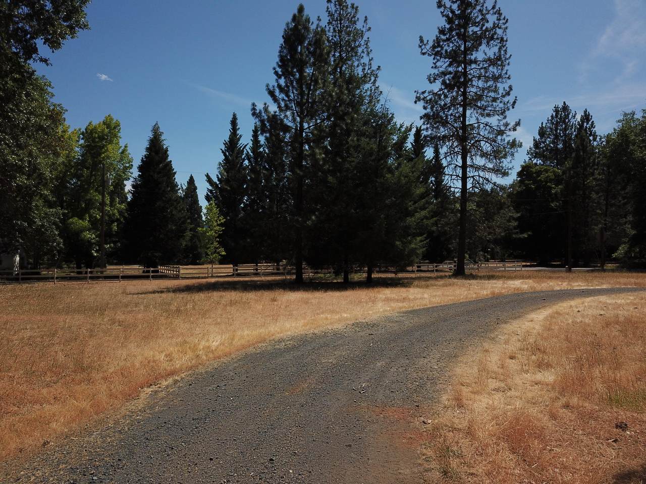 5901 Riverbanks Road - Photo 1