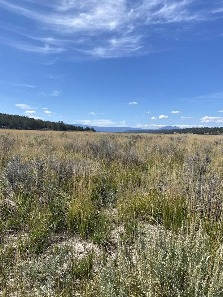  Nka Jackson Street - Photo 1