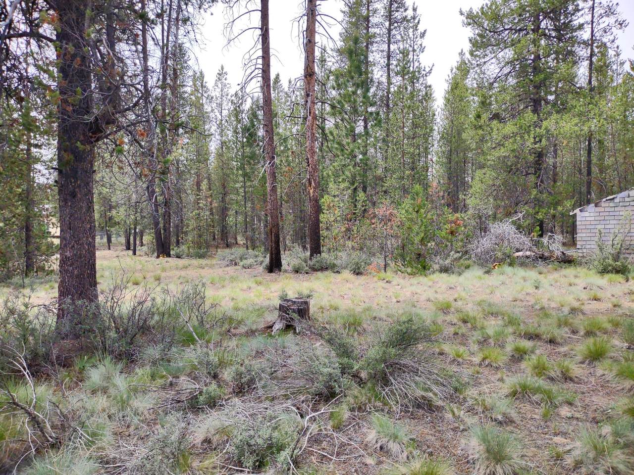 52240 Dustan Road - Photo 1