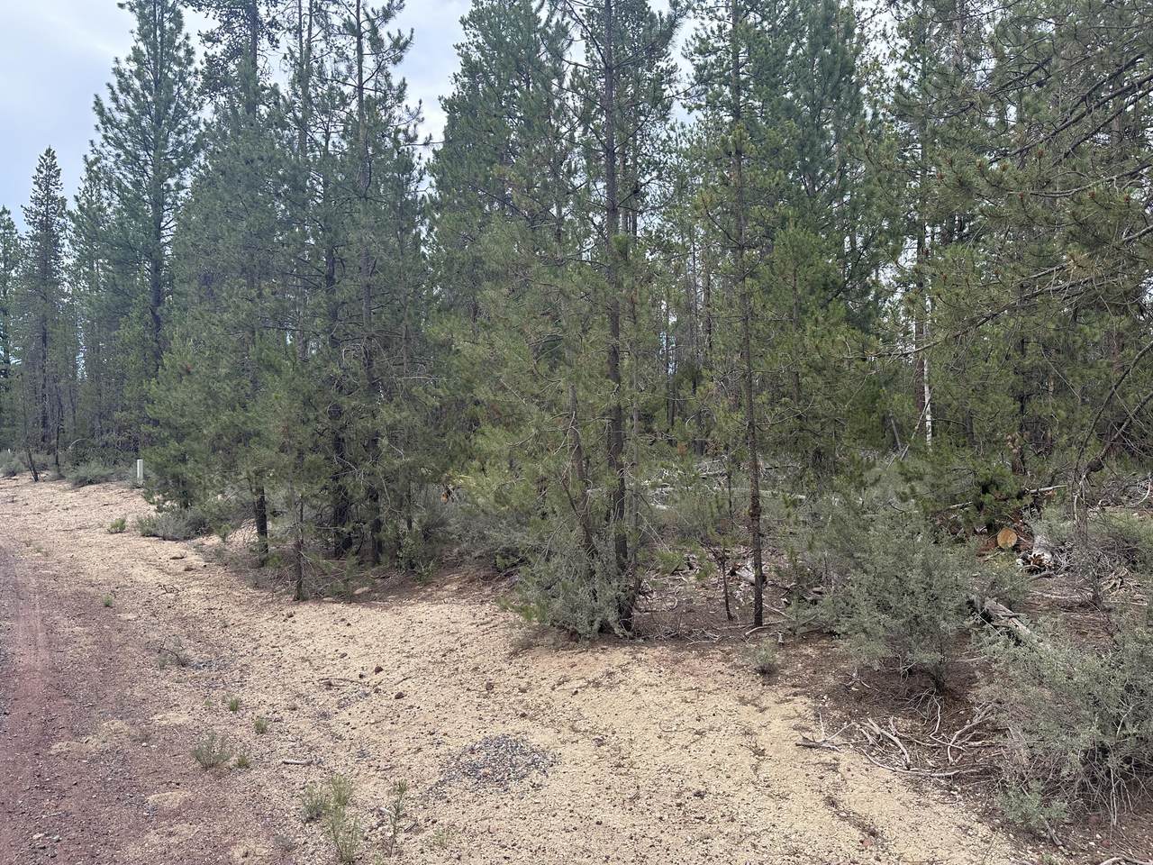  Kamloop Lane - Photo 1