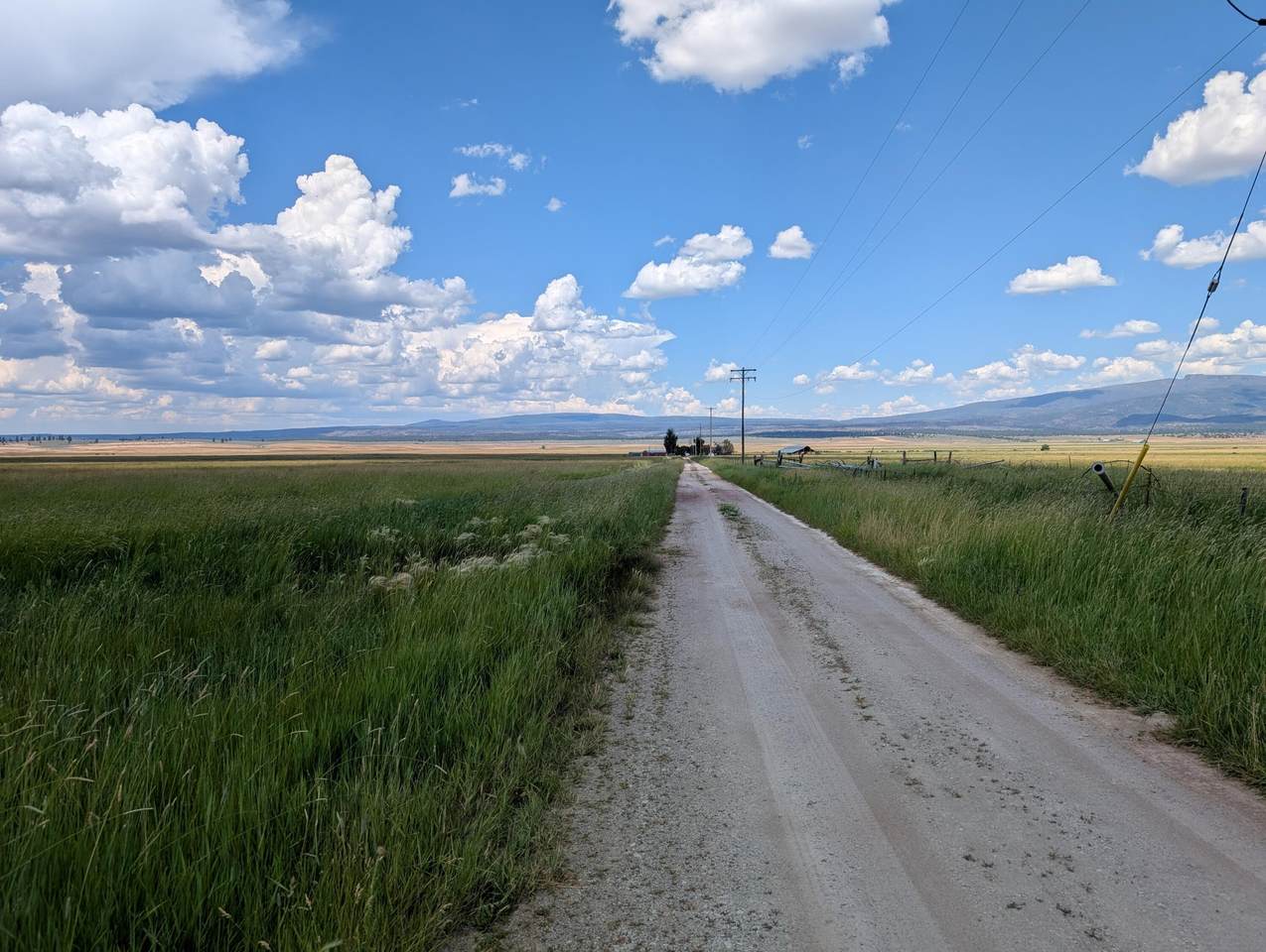 57707 Hwy 140 - Photo 1