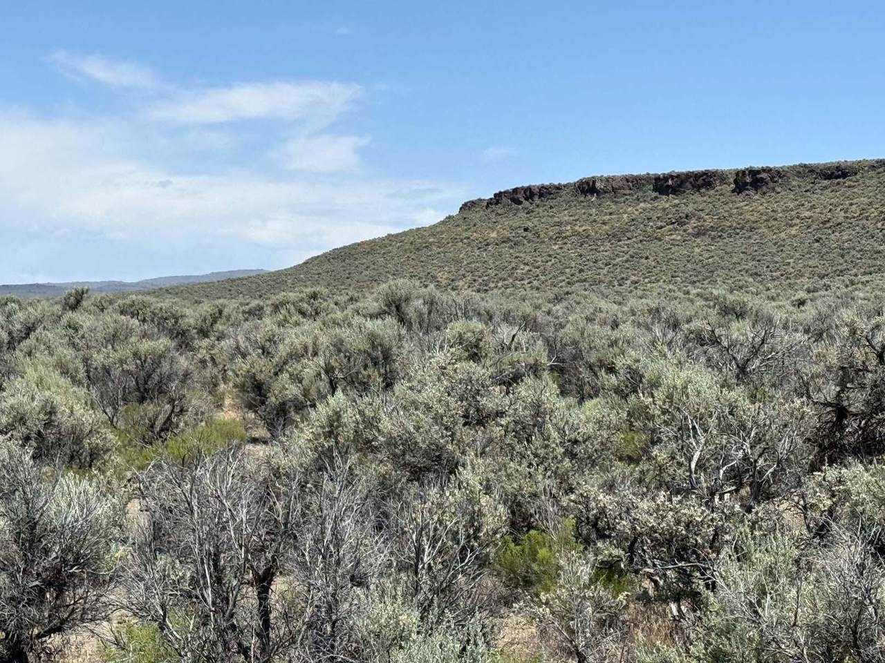  Butte Valley Road - Photo 1