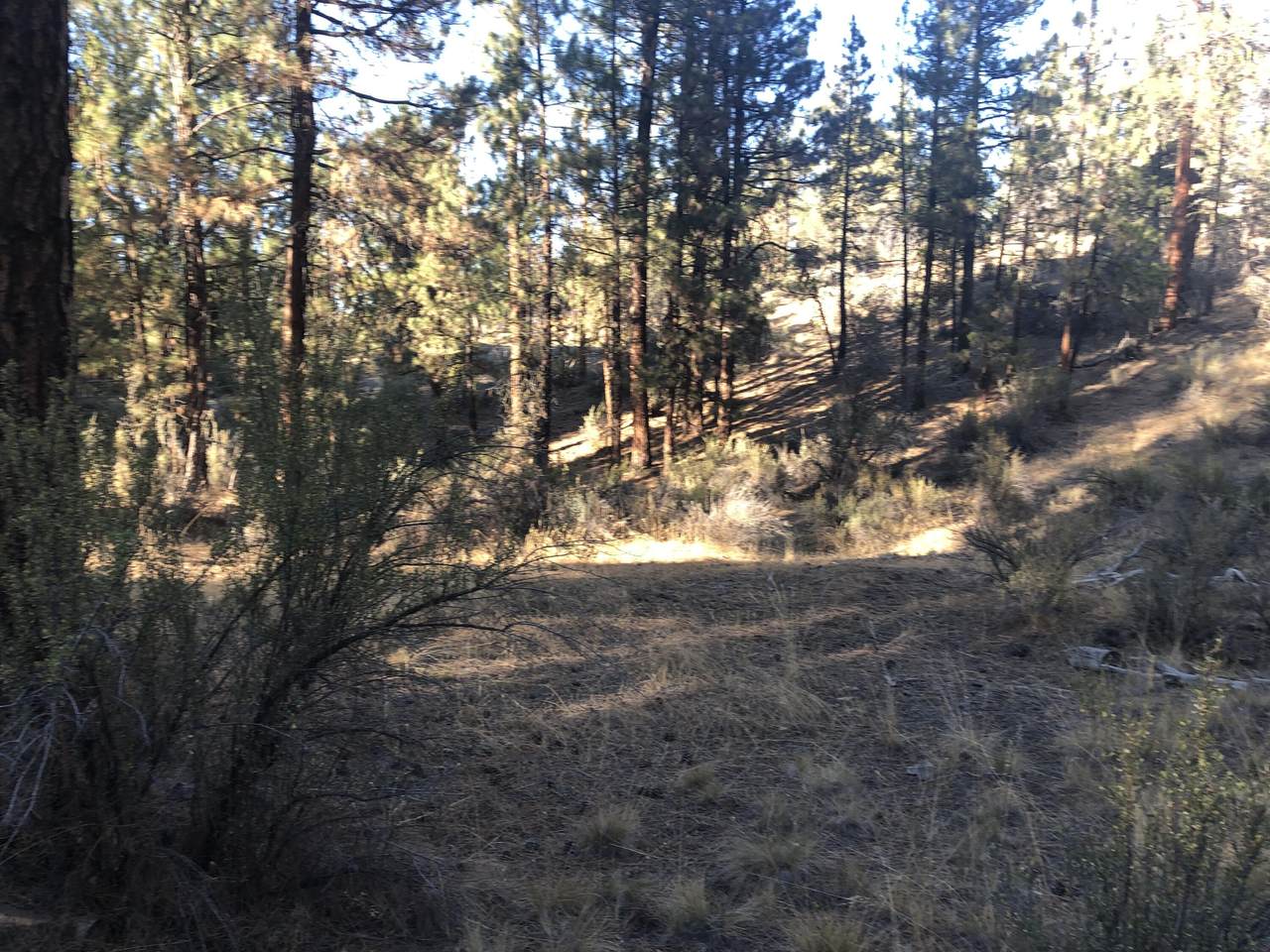 32555 Magpie Road - Photo 1