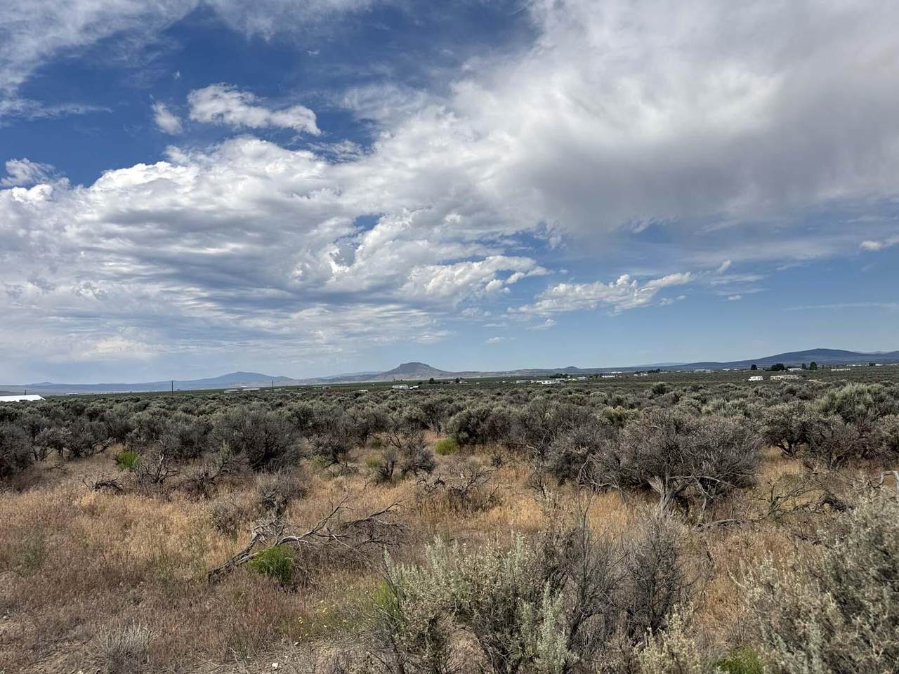  Snowflake Road - Photo 1