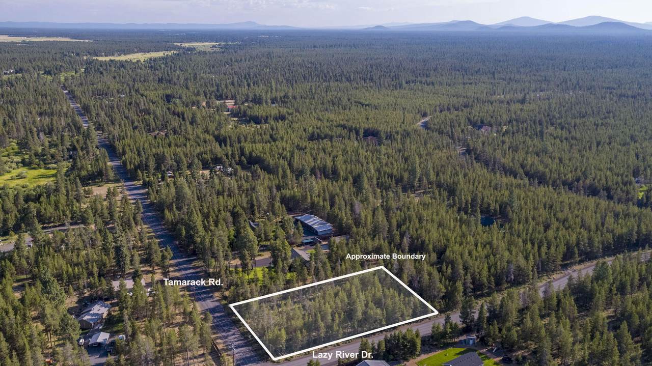 55015 Tamarack Road - Photo 1