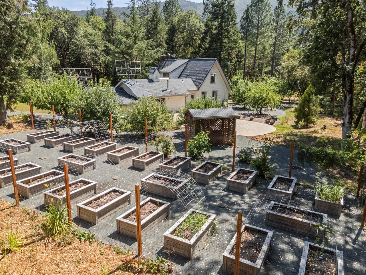 3806 Jumpoff Joe Creek Road - Photo 1