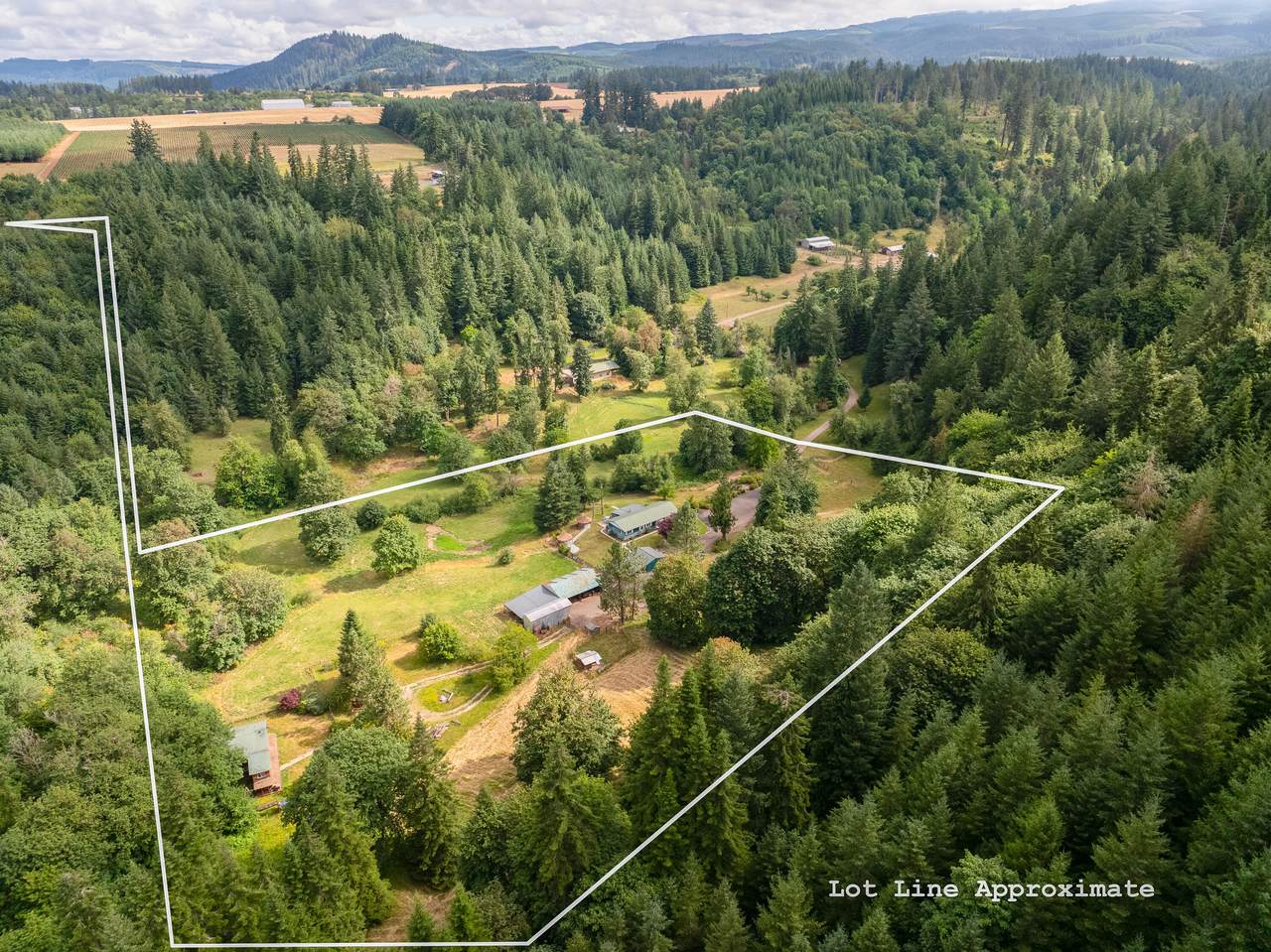 42024 Clark Smith Drive - Photo 1