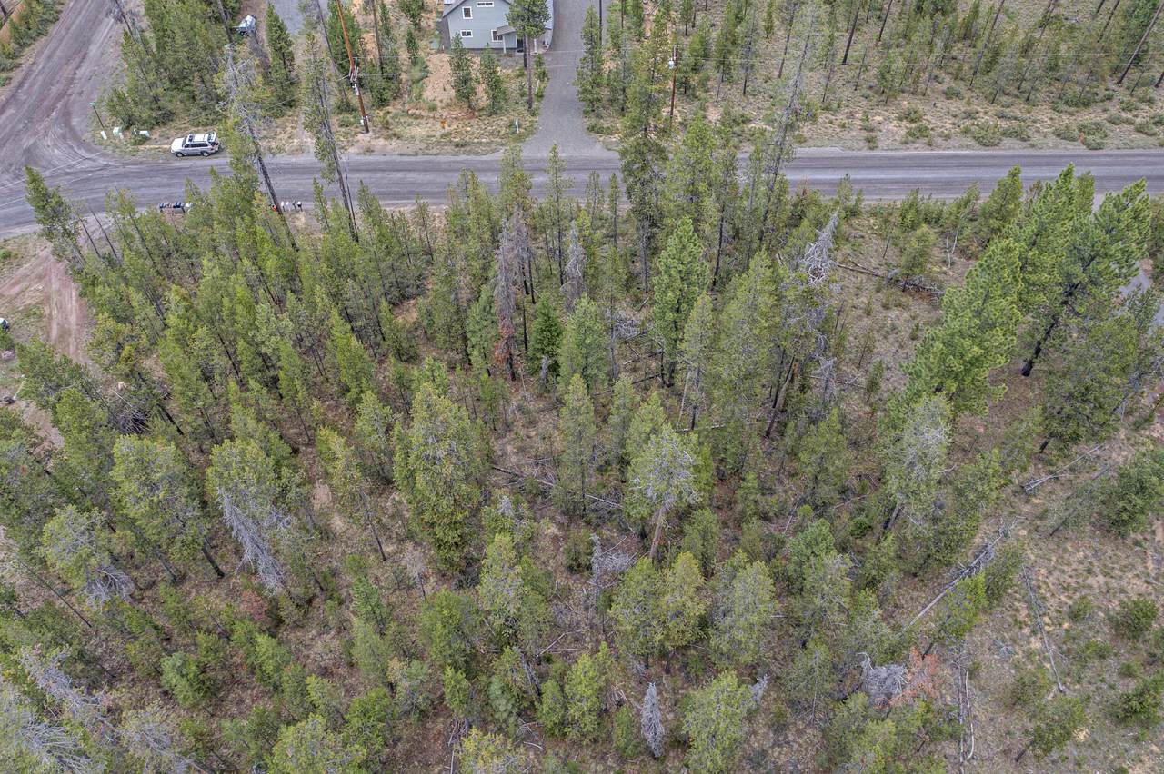 16927 Upland Road - Photo 1