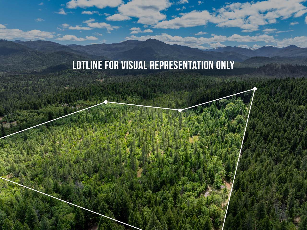 525 Sherier Road - Photo 1