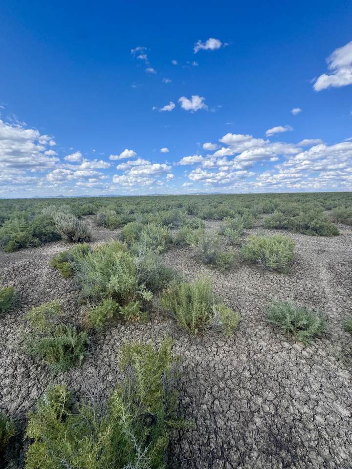 0 Mckinney Road - Photo 1