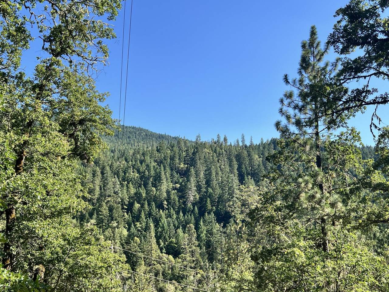 4234 Placer Road - Photo 1