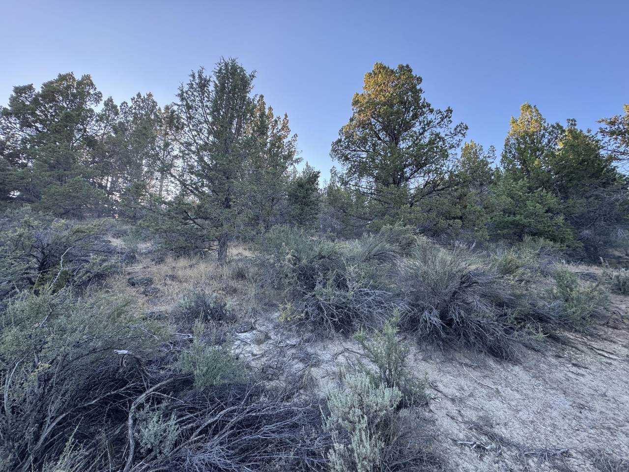 0 Shasta Street - Photo 1