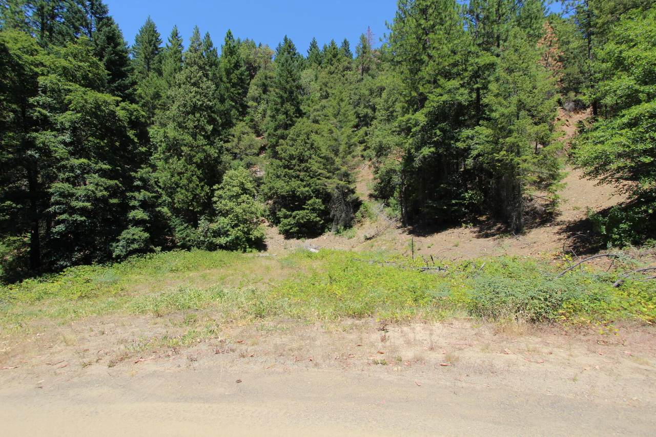  French Peak Road - Photo 1