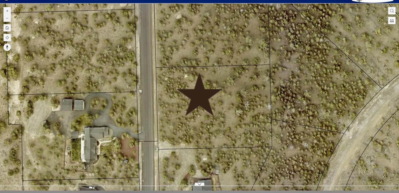 13092 Ethan Loop - Photo 1