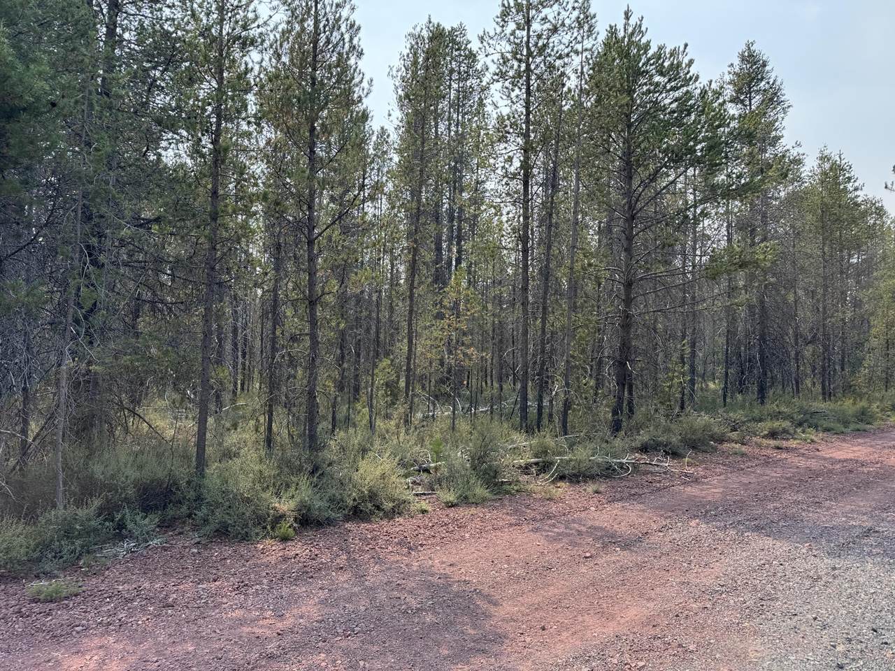  Cloudcap Drive - Photo 1