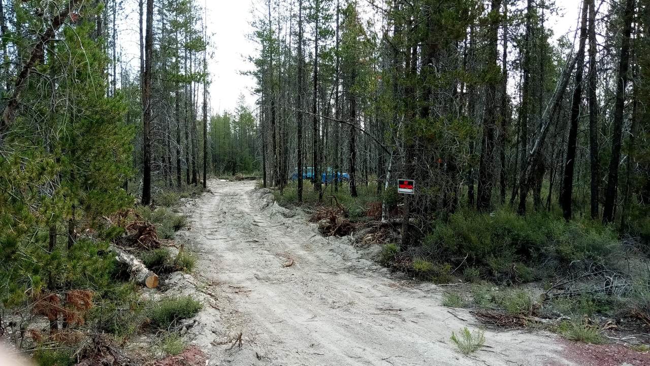 8 Scott View - Photo 1