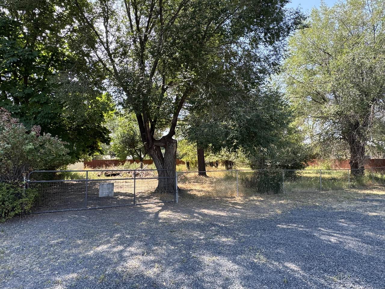  Madison Street - Photo 1