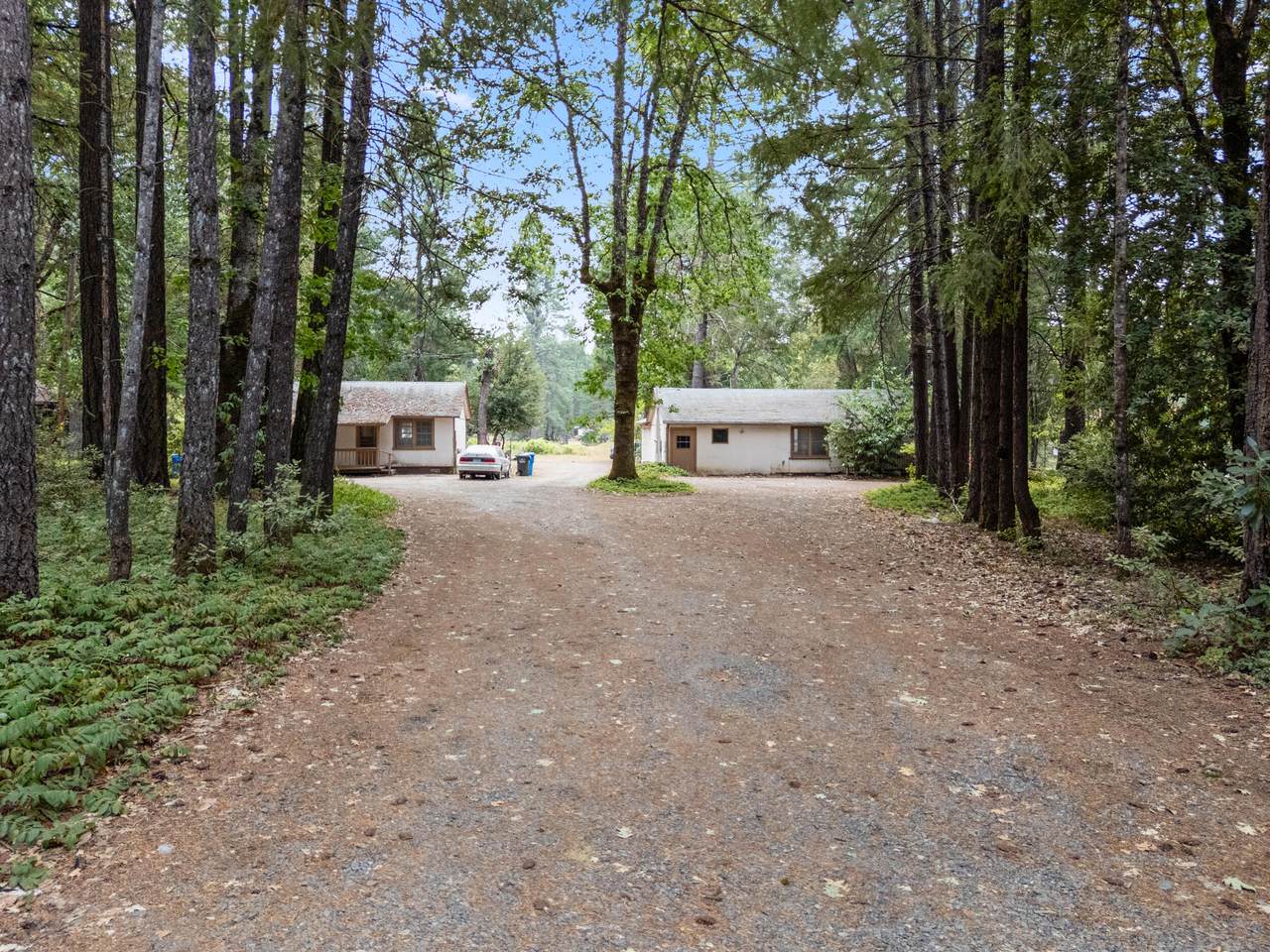 701 Caves Highway - Photo 1