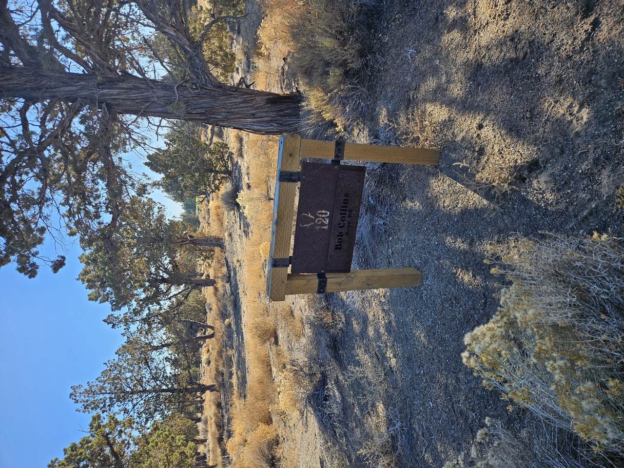 23031 Brushline Court - Photo 1