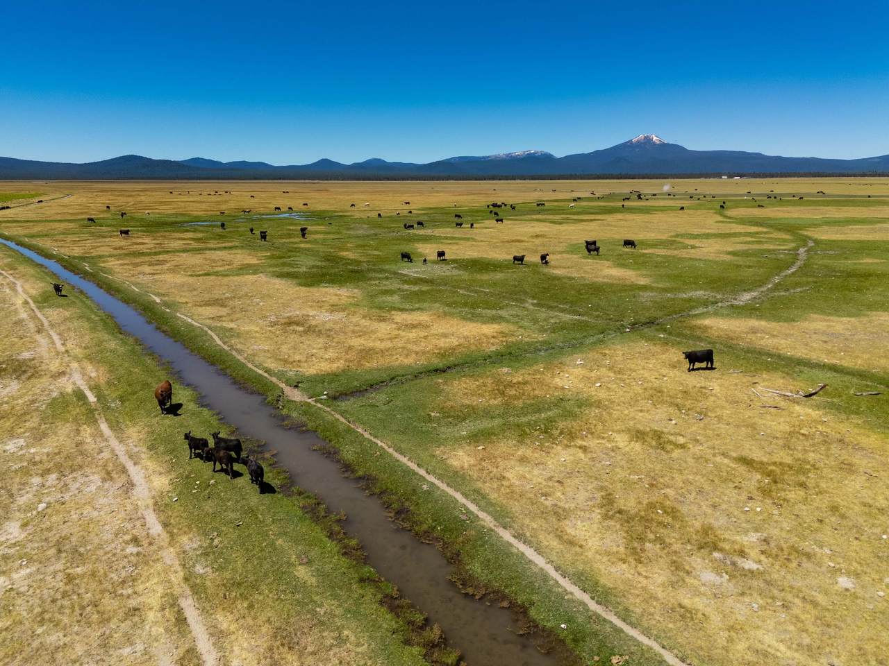 1950 Silver Lake Road - Photo 1