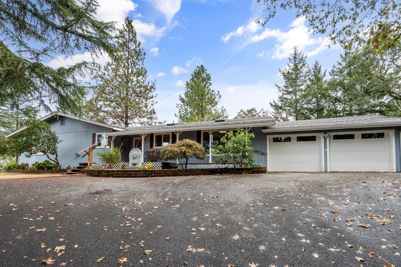 259 Tina Way - Photo 1