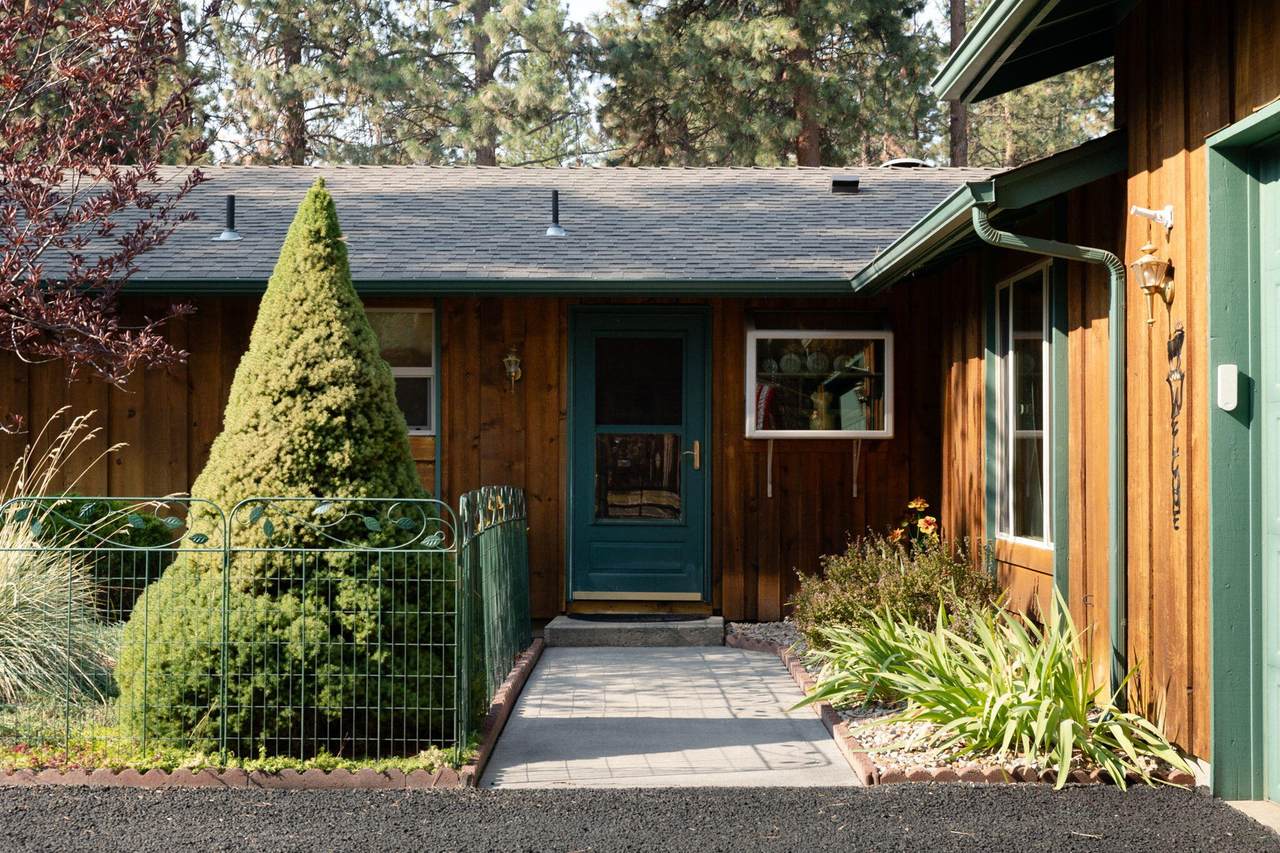 15689 Paddock Green - Photo 1