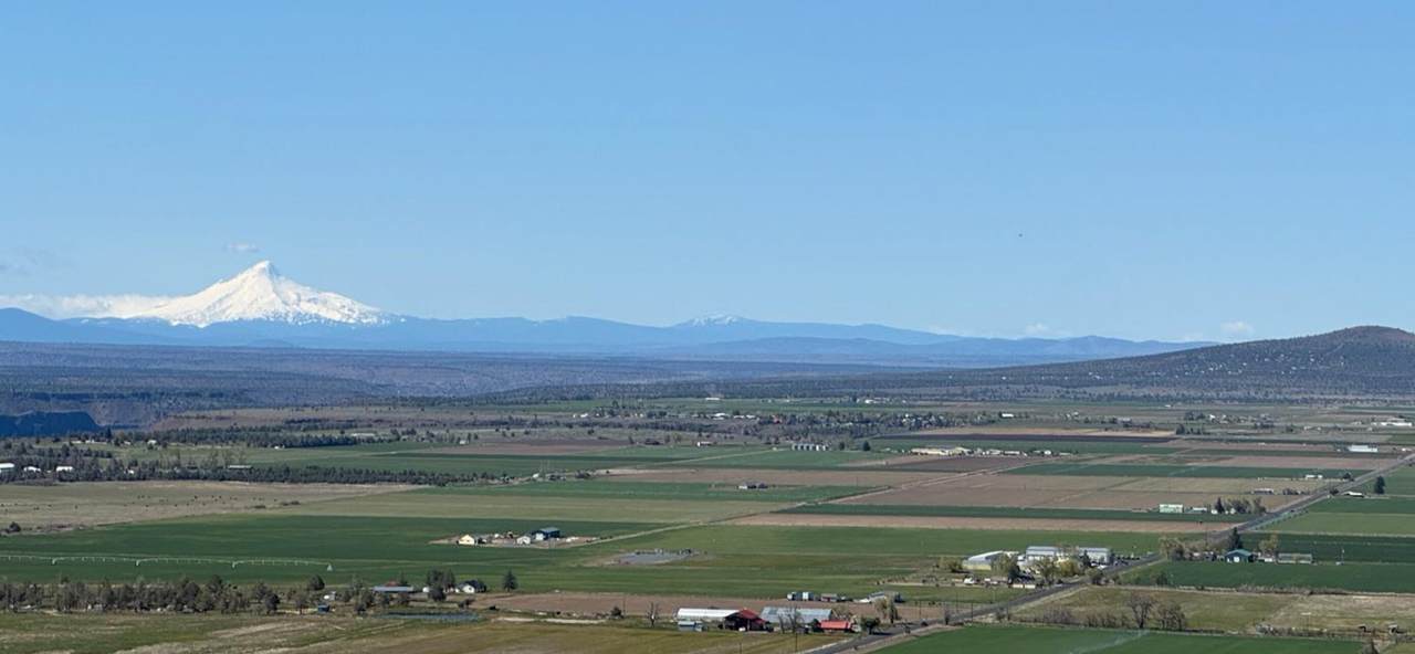  Wanker Lane - Photo 1