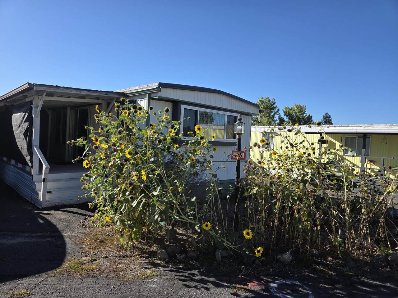 2934 Summers Lane - Photo 1