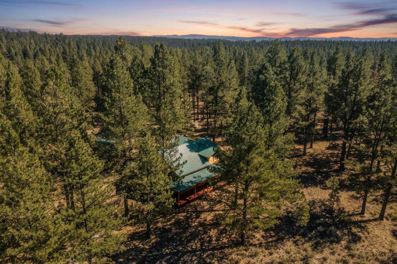 20779 Bear Gulch Road - Photo 1
