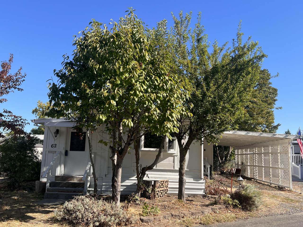 1241 Dowell Road - Photo 1