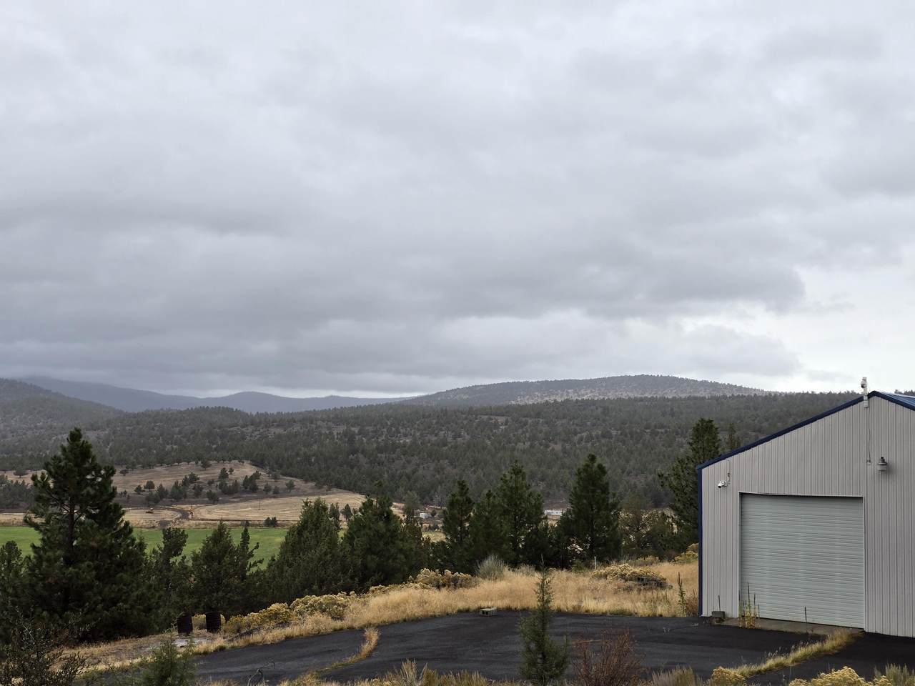 88840 Dog Lake Lane - Photo 1