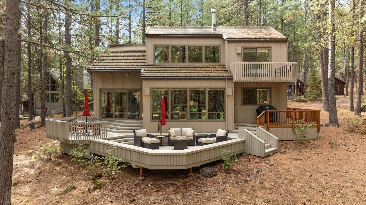 70332 Sword Fern - Photo 1