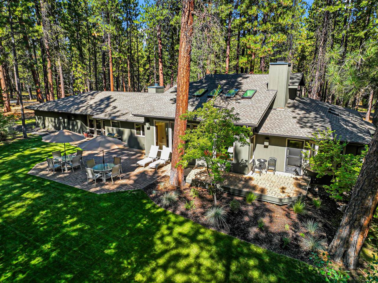 70305 Arvensis - Photo 1