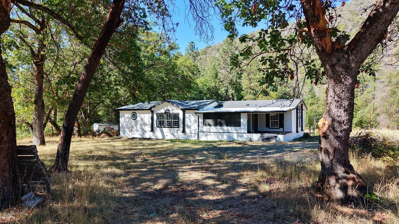 1305 Humbug Creek Road - Photo 1