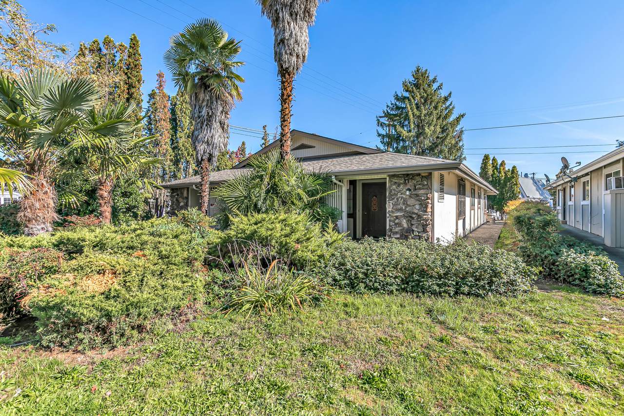 3 Chestnut Street - Photo 1