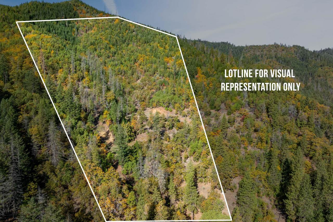 0 Sardine Creek Road - Photo 1