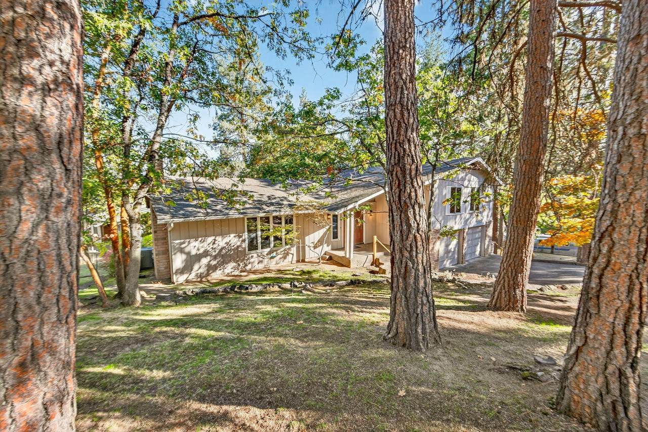 1159 Emma Street - Photo 1