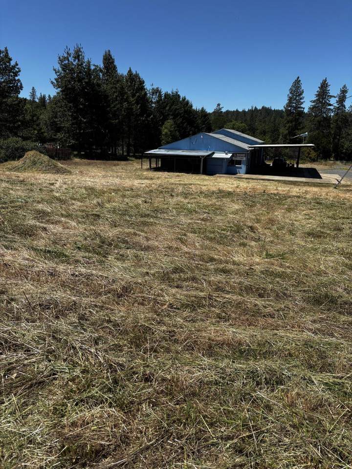 209 Macnew Lane - Photo 1