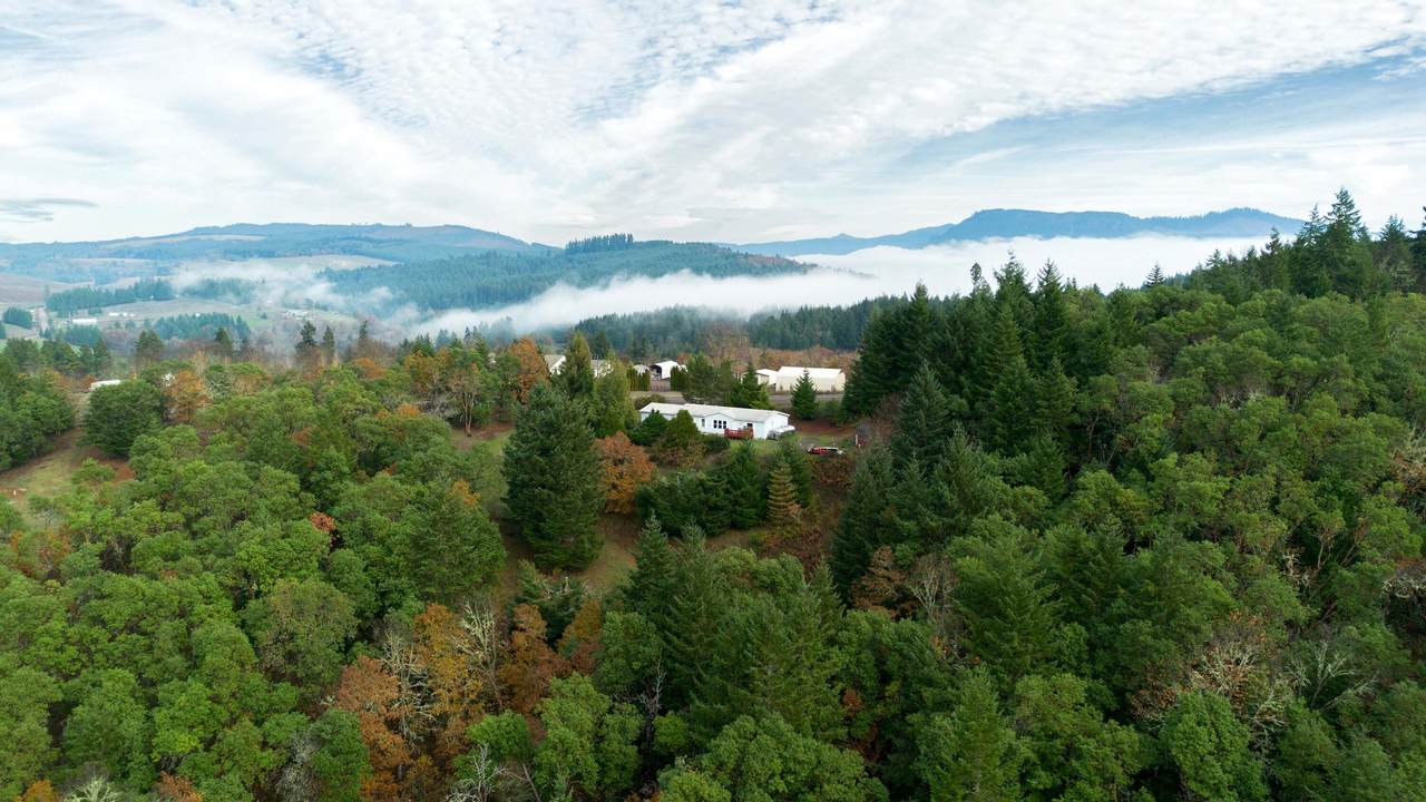 5290 Goodrich Highway - Photo 1