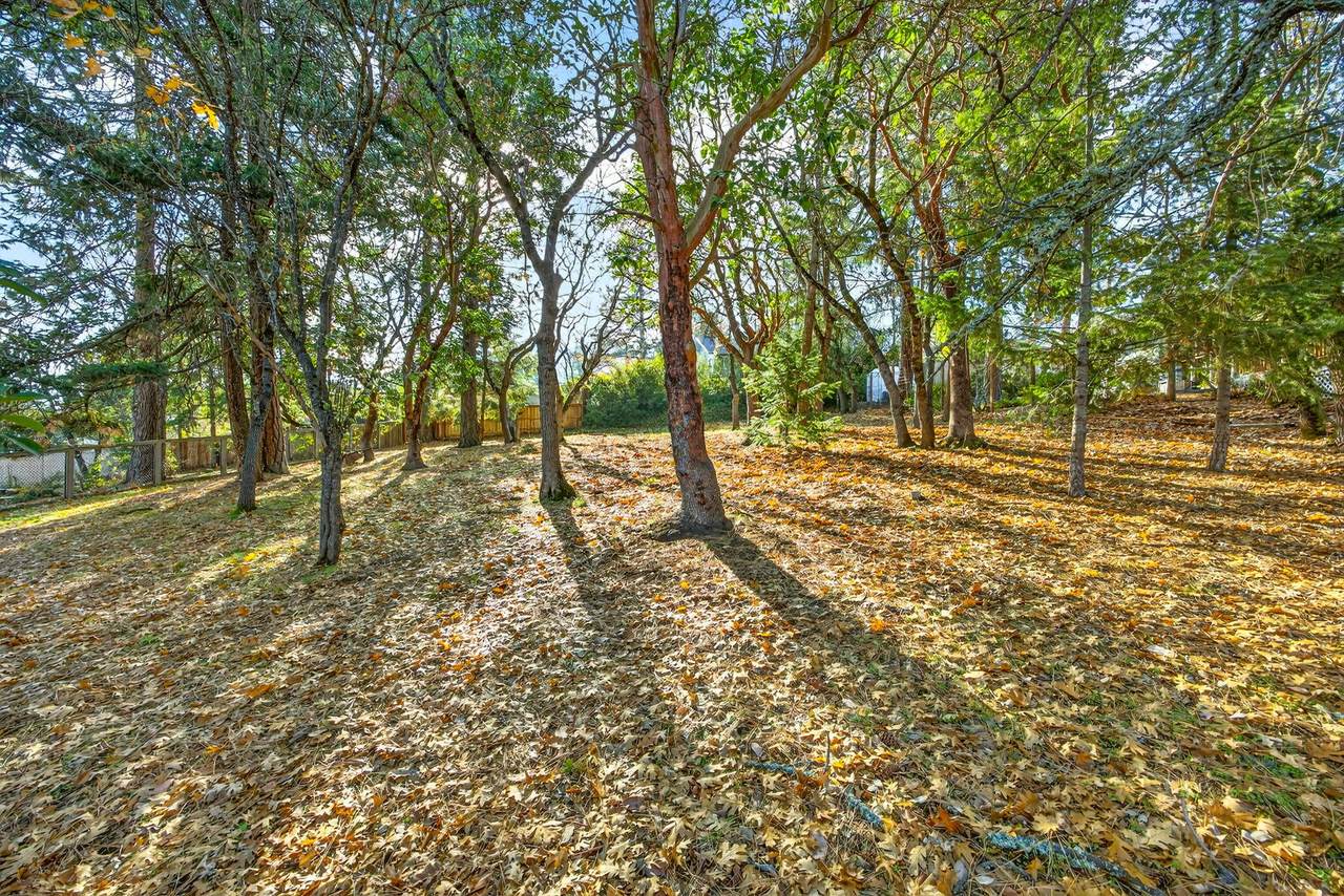 961 Pinecrest Terrace - Photo 1