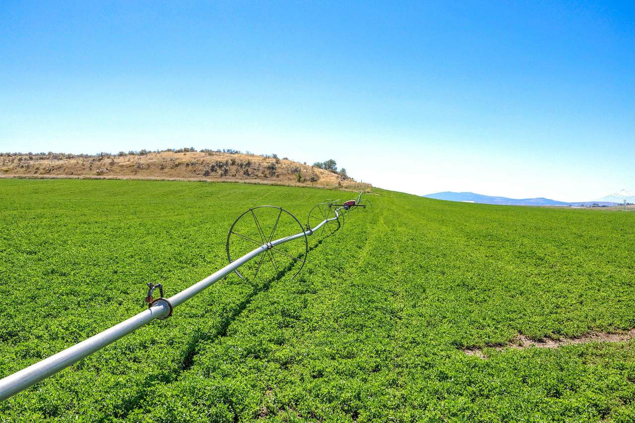 392 Del Fatti Lane - Photo 1