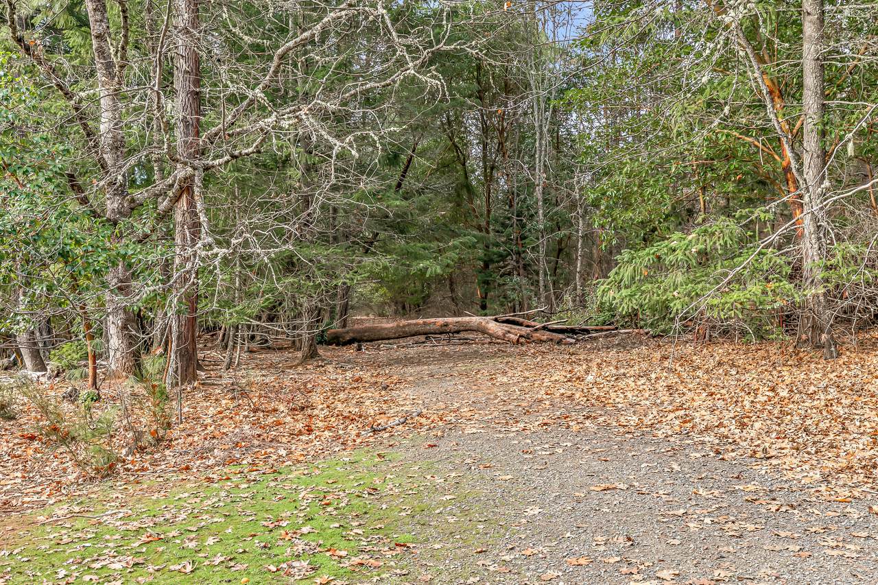 https://bt-photos.global.ssl.fastly.net/coar/1280_boomver_1_220212609-2.jpg