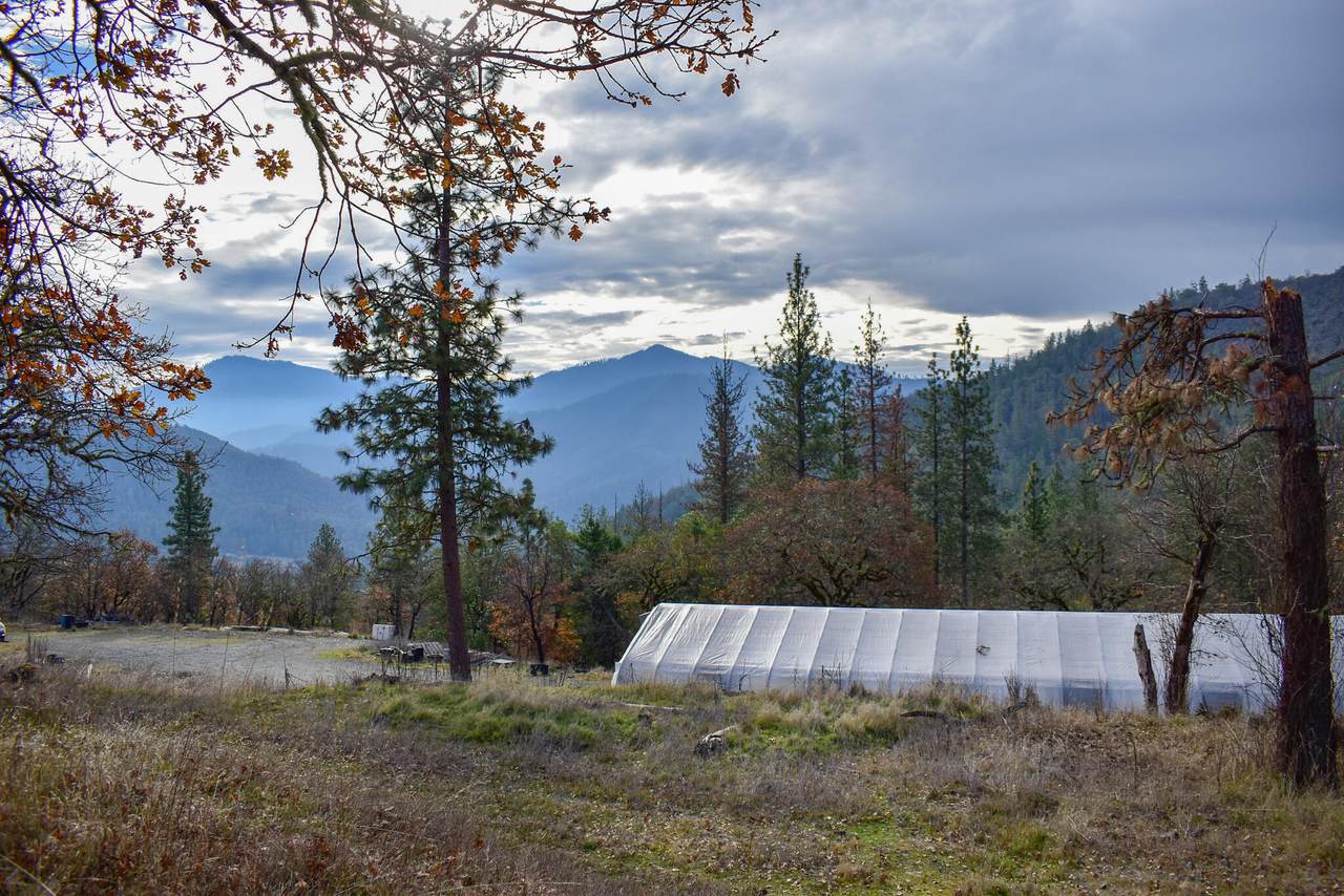 1379 Humbug Creek Road - Photo 1