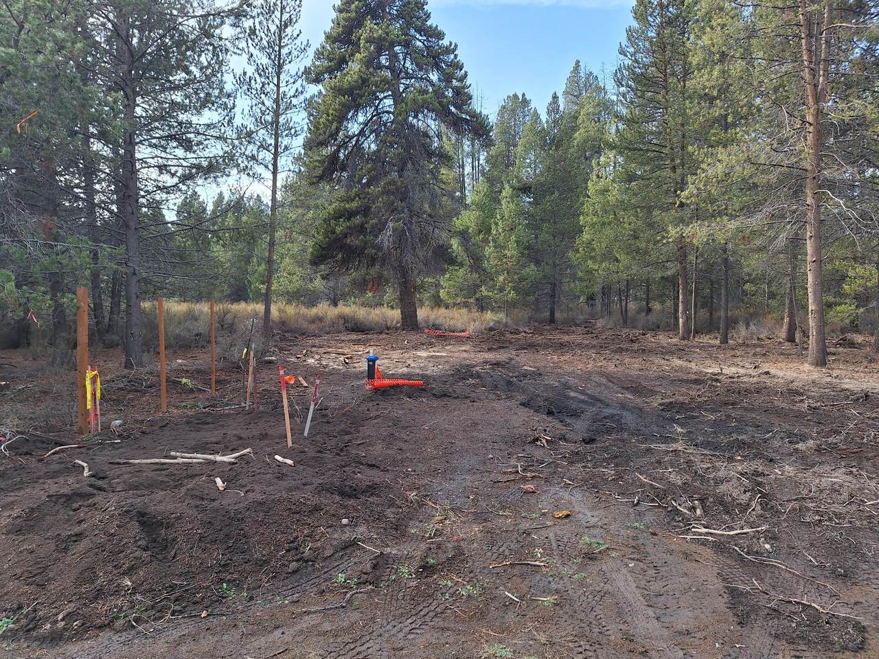  Brook Trout Lane - Photo 1