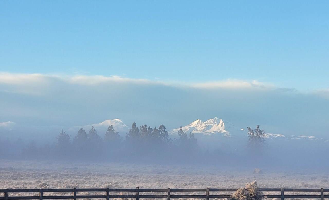8835 Equestrian Place - Photo 1