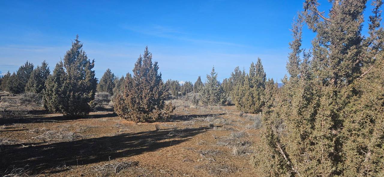 https://bt-photos.global.ssl.fastly.net/coar/1280_boomver_1_220213228-2.jpg
