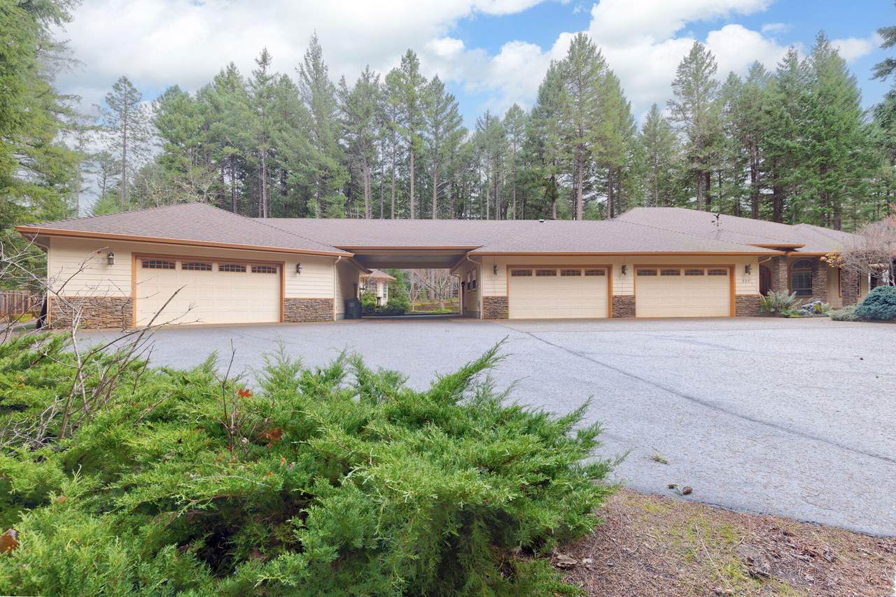 337 Daleo Drive - Photo 1