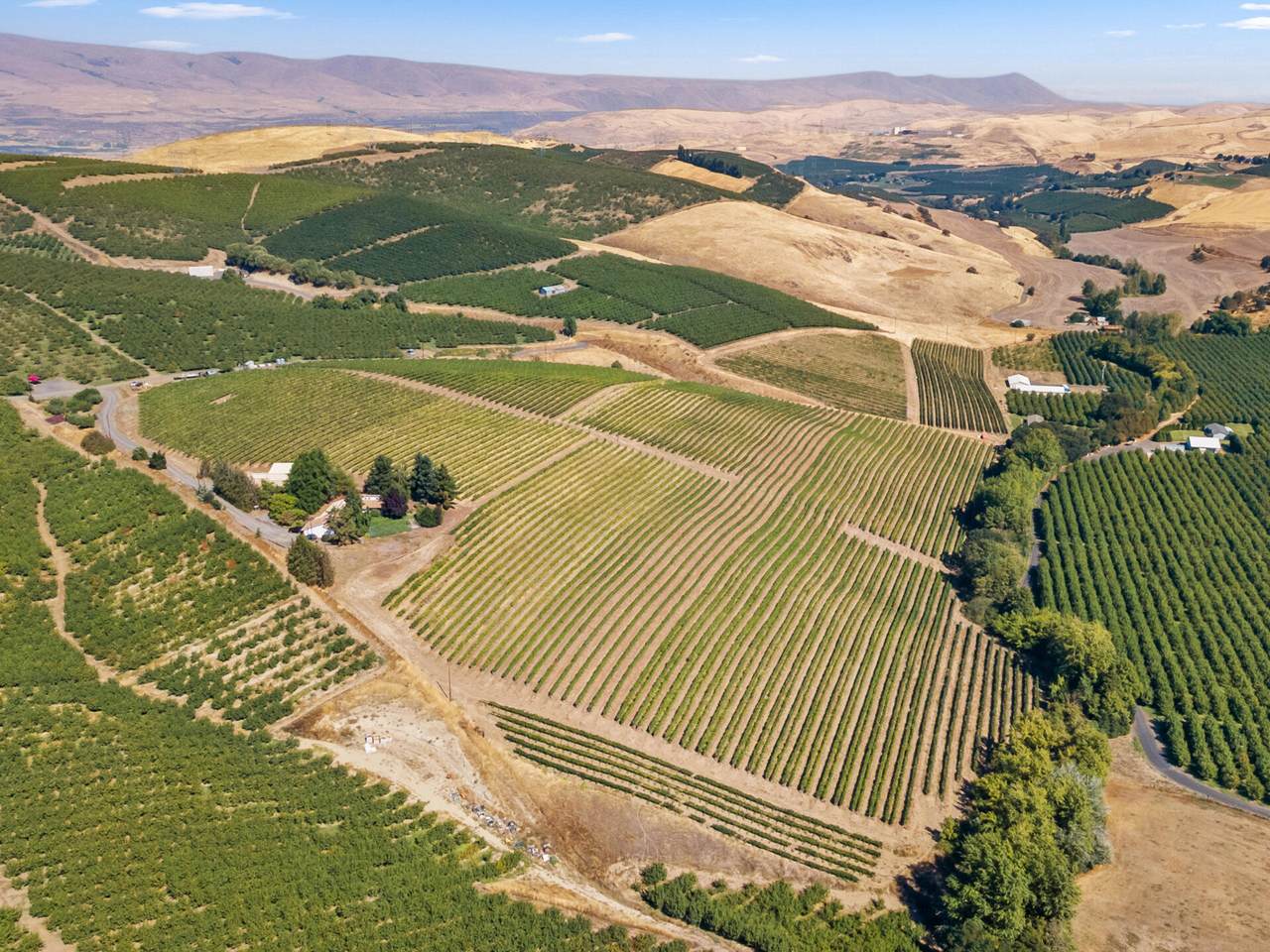 2018 Steele Road - Photo 1