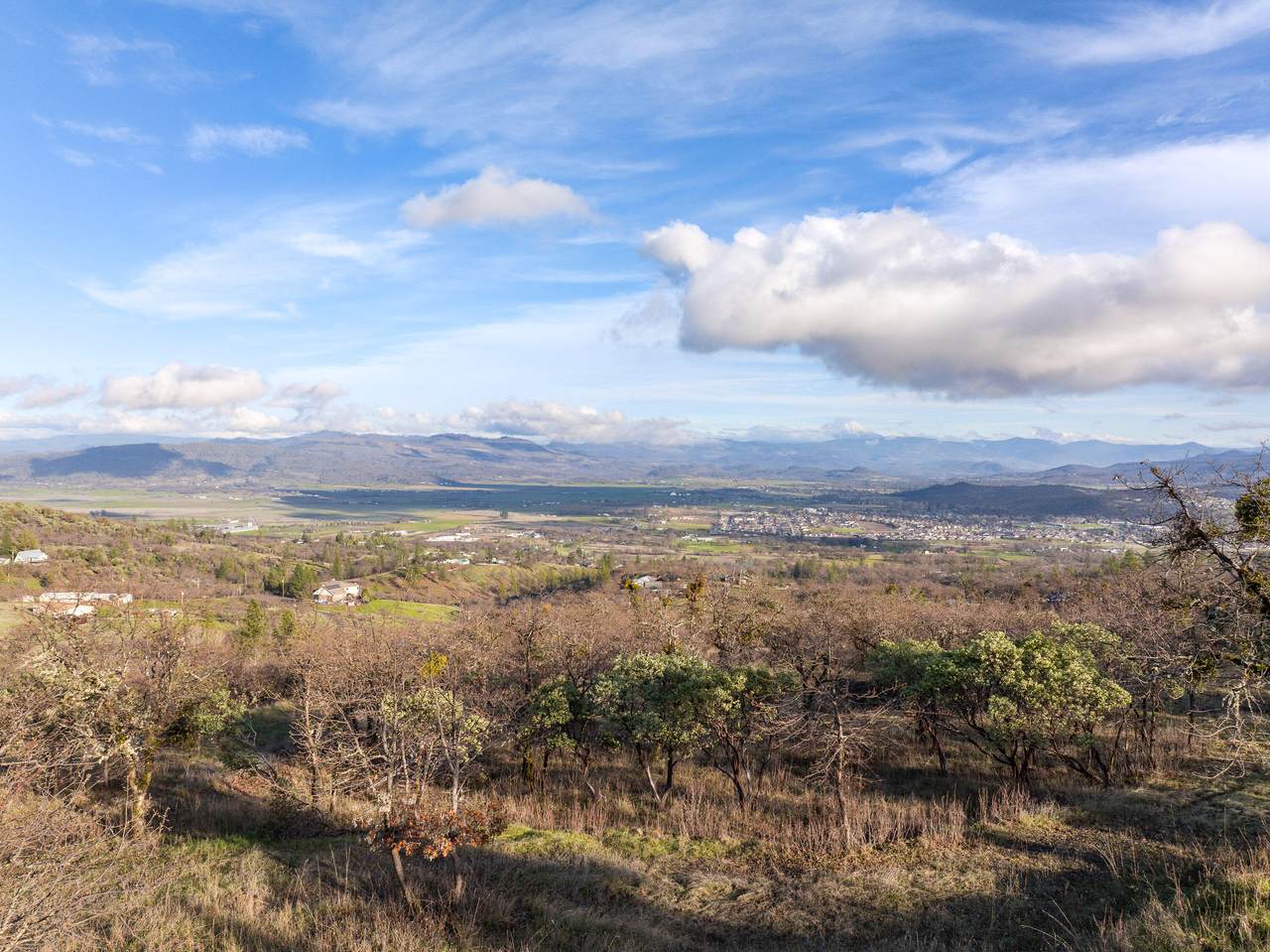 445 Mt Castle Drive - Photo 1