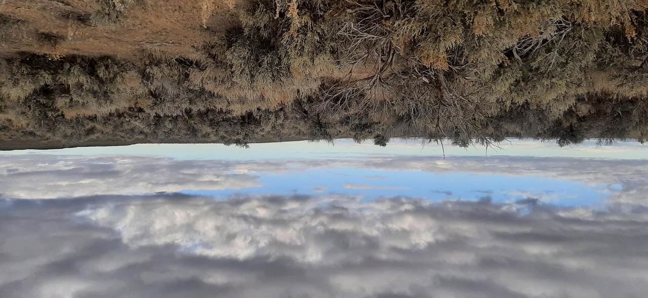  Christmas Valley Wagontire Hwy - Photo 1
